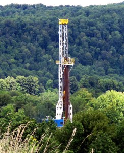 Forage hydrocarbure foret